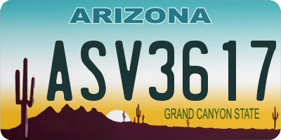 AZ license plate ASV3617