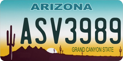 AZ license plate ASV3989