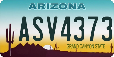 AZ license plate ASV4373