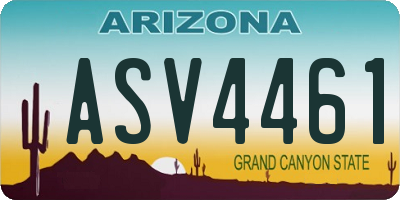 AZ license plate ASV4461