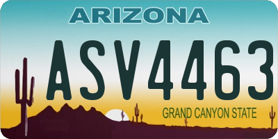 AZ license plate ASV4463