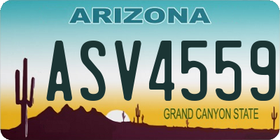 AZ license plate ASV4559