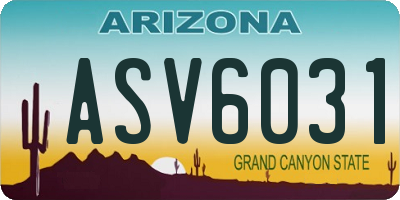 AZ license plate ASV6031