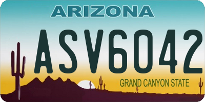 AZ license plate ASV6042