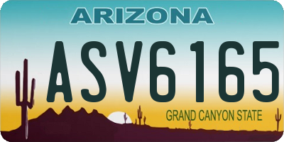 AZ license plate ASV6165