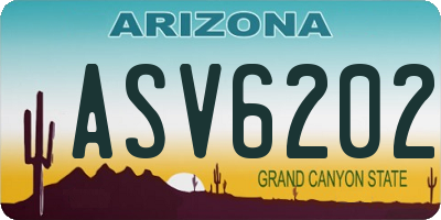 AZ license plate ASV6202
