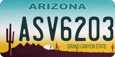 AZ license plate ASV6203