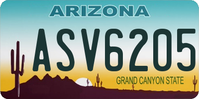 AZ license plate ASV6205