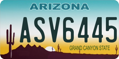 AZ license plate ASV6445