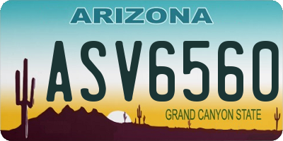 AZ license plate ASV6560