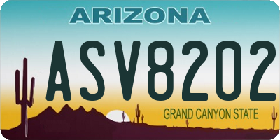 AZ license plate ASV8202