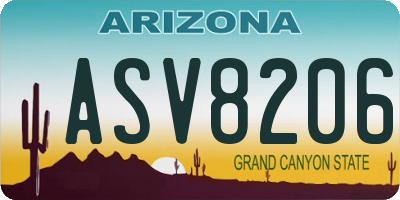 AZ license plate ASV8206