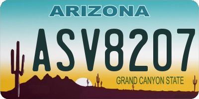 AZ license plate ASV8207