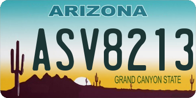 AZ license plate ASV8213