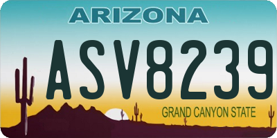 AZ license plate ASV8239