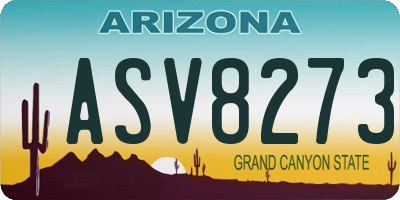 AZ license plate ASV8273