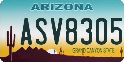 AZ license plate ASV8305