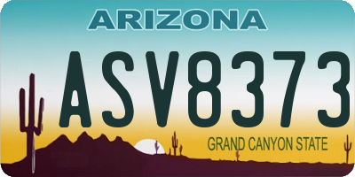AZ license plate ASV8373