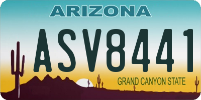 AZ license plate ASV8441