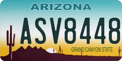 AZ license plate ASV8448