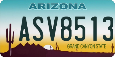 AZ license plate ASV8513