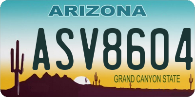 AZ license plate ASV8604