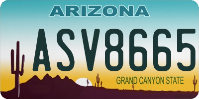AZ license plate ASV8665