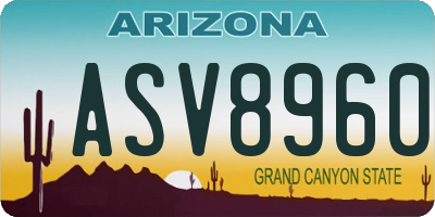 AZ license plate ASV8960