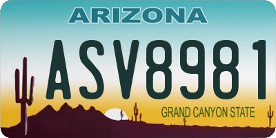 AZ license plate ASV8981