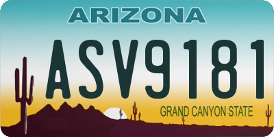 AZ license plate ASV9181