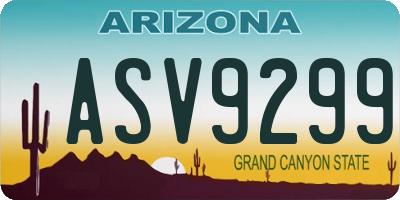 AZ license plate ASV9299
