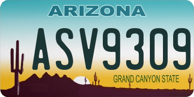 AZ license plate ASV9309