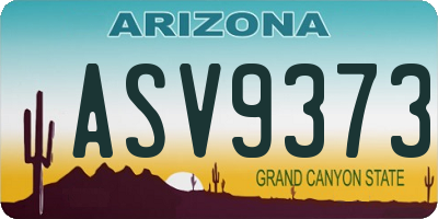 AZ license plate ASV9373