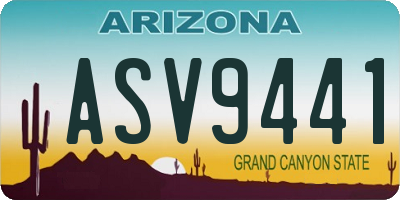 AZ license plate ASV9441