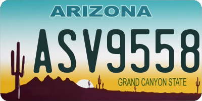 AZ license plate ASV9558