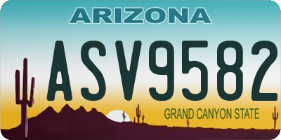 AZ license plate ASV9582