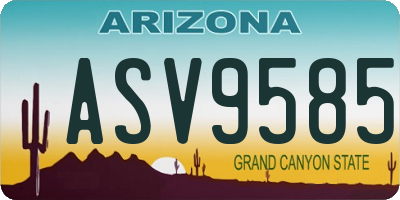 AZ license plate ASV9585