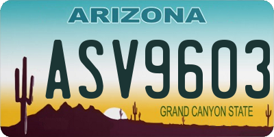 AZ license plate ASV9603