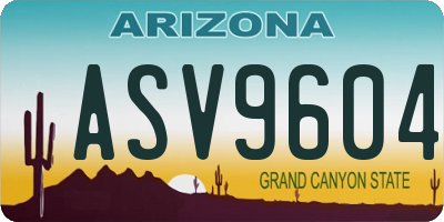 AZ license plate ASV9604