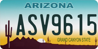 AZ license plate ASV9615
