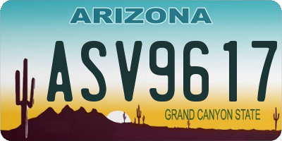 AZ license plate ASV9617