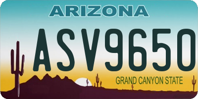 AZ license plate ASV9650