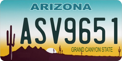 AZ license plate ASV9651