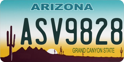 AZ license plate ASV9828