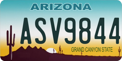 AZ license plate ASV9844