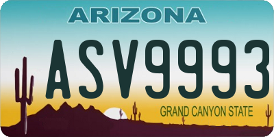 AZ license plate ASV9993