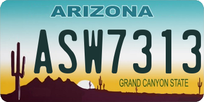 AZ license plate ASW7313