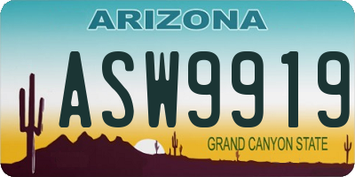 AZ license plate ASW9919