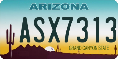 AZ license plate ASX7313