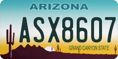 AZ license plate ASX8607
